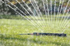 What to do Now for a Better Lawn and Garden in the Sprin