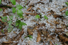 Where Does Hail Come From? featured image