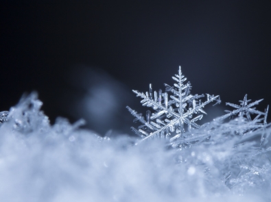 Real snowflake with dark background.