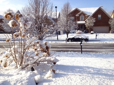 The Great Christmas Eve Snow Storm of 2004 featured image