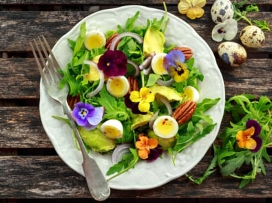 Plant for Taste: Grow These Edible Flowers featured image