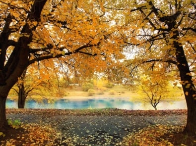 What is “Indian Summer” or “Second Summer”? featured image
