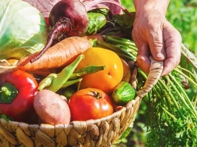 Know When To Harvest These 6 Vegetables featured image