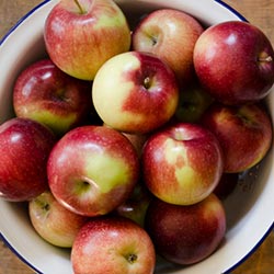 https://www.farmersalmanac.com/wp-content/uploads/2010/09/Fennel-Apple-Soup-r1.jpg