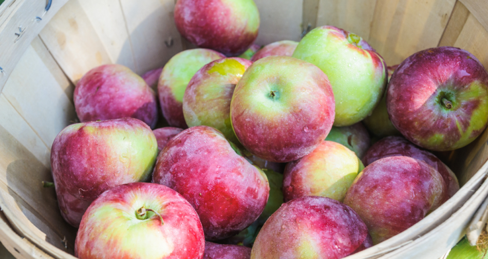 Cortland apples in a basket.