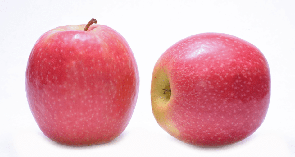 Two pink lady apples.
