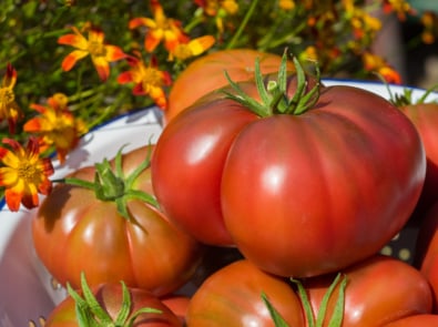 Here’s how to Preserve tomatoes featured image