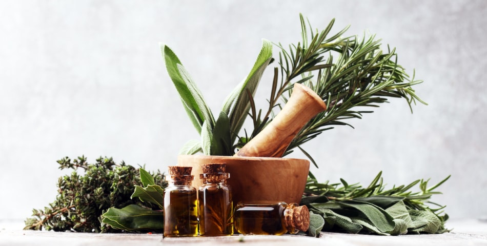 Fresh herbs from the garden and the different types of oils for massage and aromatherapy. Wellness concept.