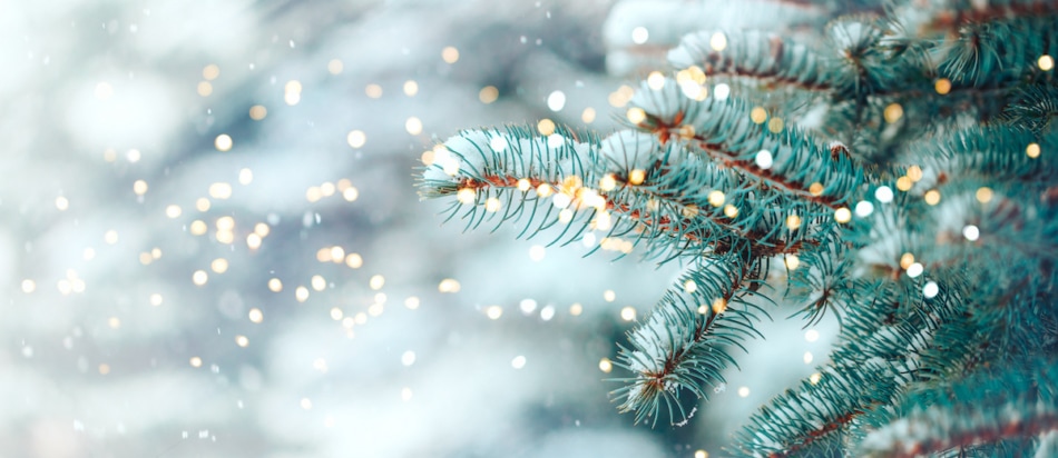 A Christmas tree outside with snow to represent Farmers' Almanac Christmas forecast.