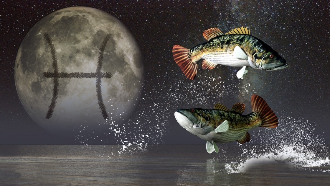 Zodiac Zone: Meet Pisces ♓️ - Farmers' Almanac