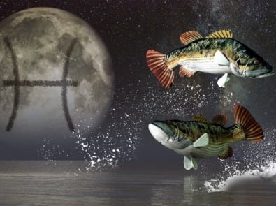 Zodiac Zone: Meet Pisces ♓️ featured image