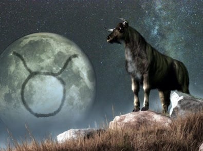 Zodiac Zone: Meet Taurus ♉ featured image