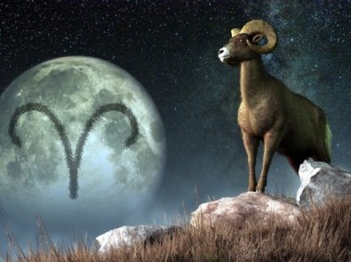 Zodiac Zone: Meet Aries ♈ featured image