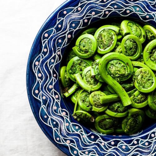 Fiddlehead ferns in a blue bowl.