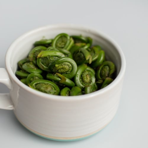 Fiddleheads in white cup with light background.