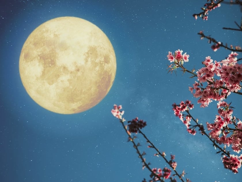 A full moon and flowers.