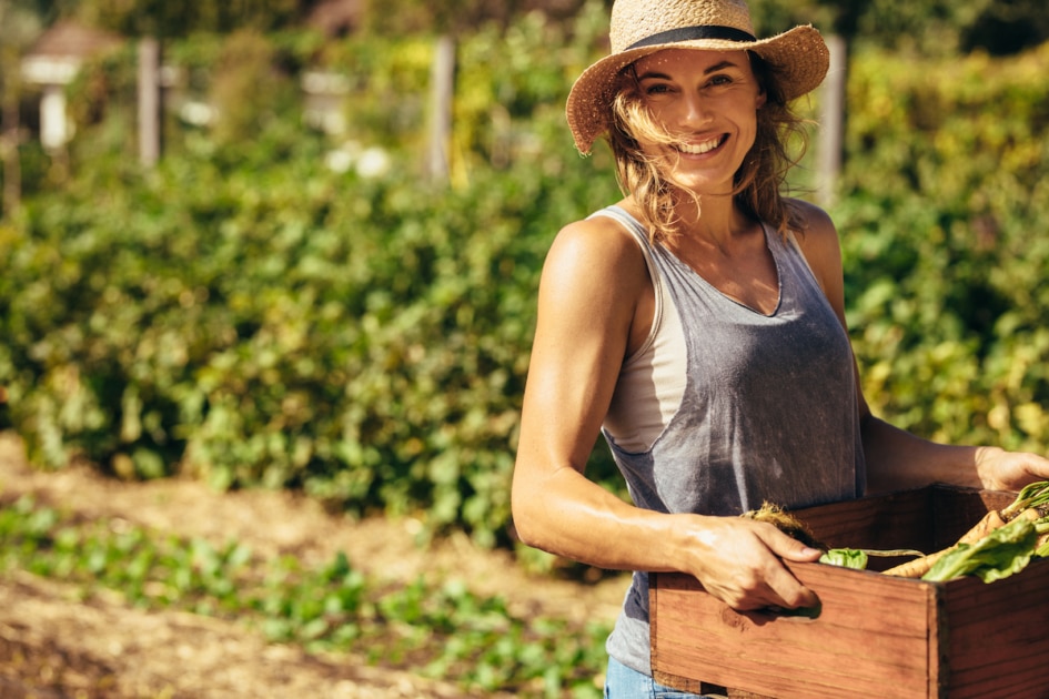 Friendly woman harvesting fresh vegetables from her farm. Beautiful female carrying carte full fresh harvest in the farm.