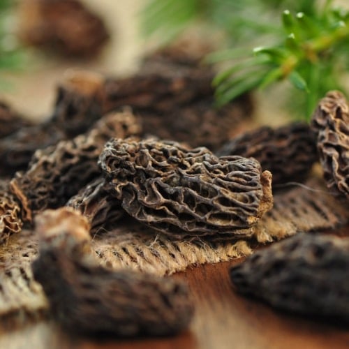 Close up of brown morels on wooden table.