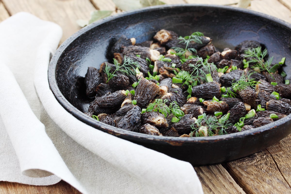 Spring Means Morels, But What Are They? Farmers' Almanac Plan Your
