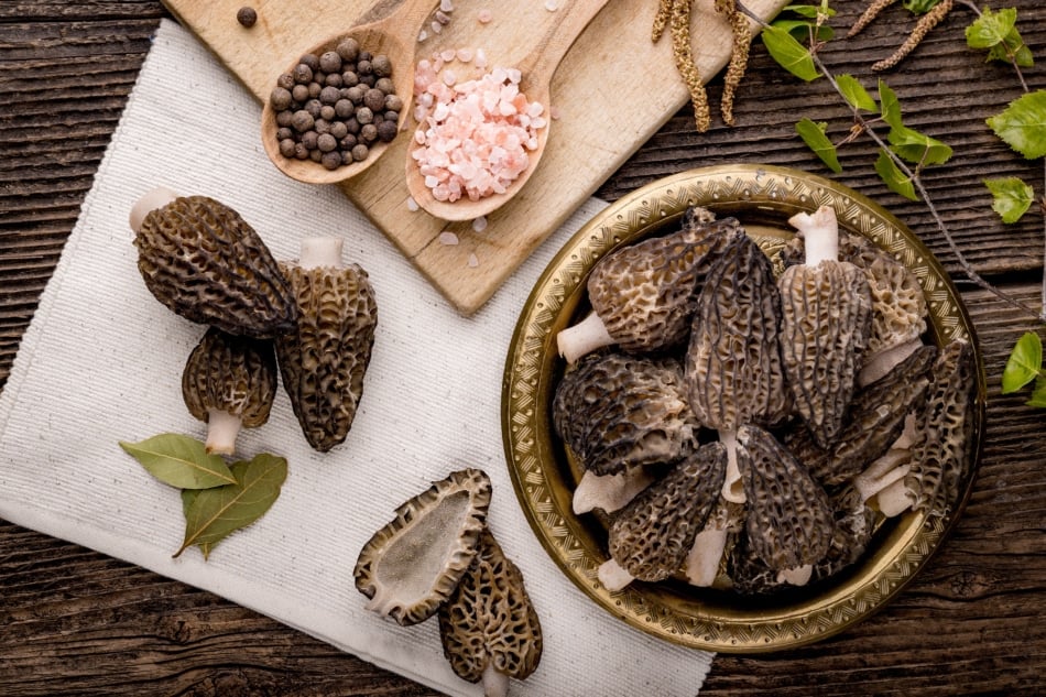 fresh morel mushrooms on the counter