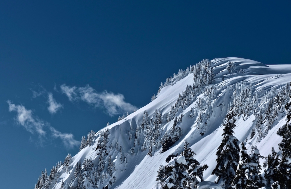 Mountain slope with frozen trees covered with frost and snow on a winter day. View of mountains top from Artist Point in Mount Baker area. Pacific Northwest. Washington. United States of America.