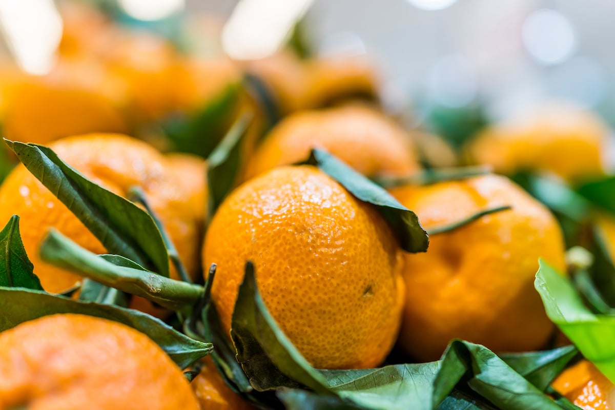 What the Heck Is a Satsuma? Farmers' Almanac Plan Your Day. Grow