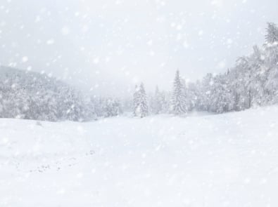 Blizzard, snowy landscape with trees in background.