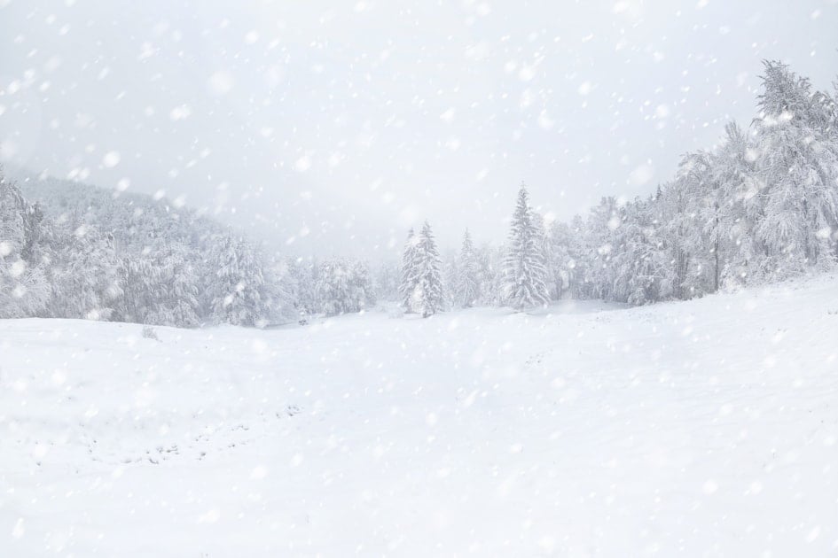 Blizzard, snowy landscape with trees in background.