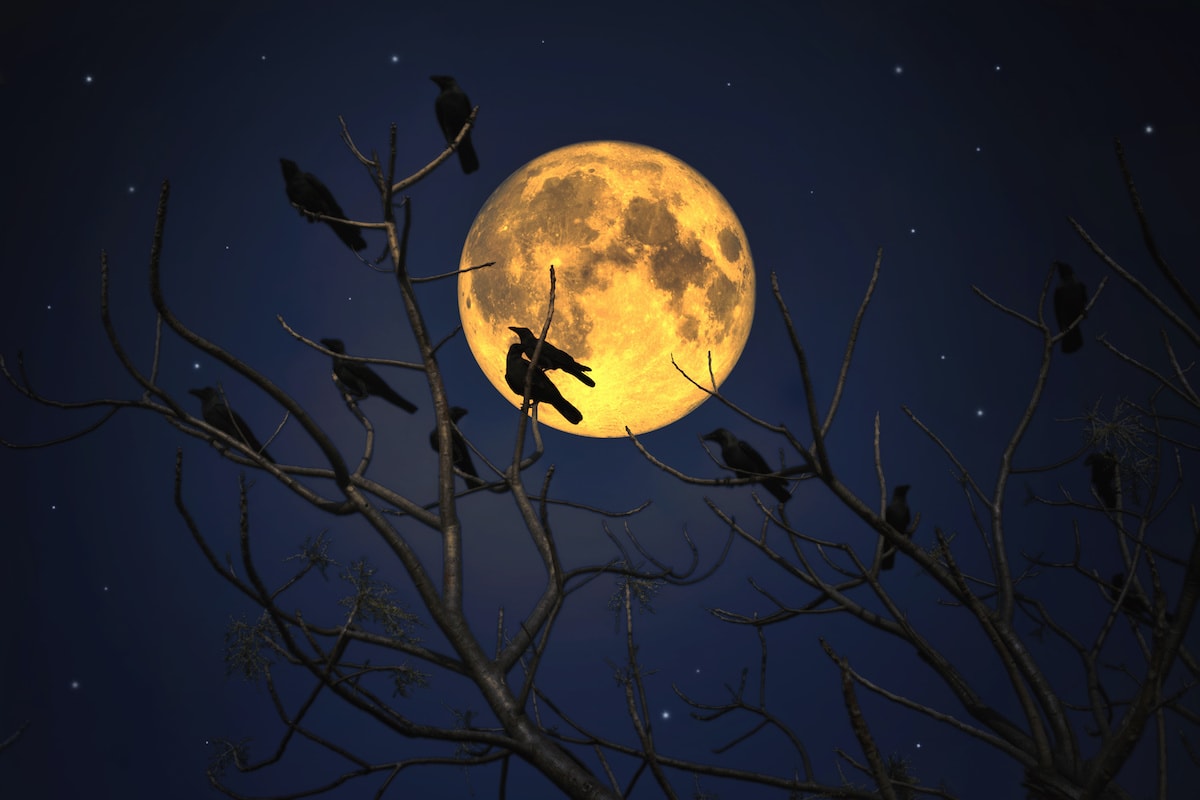 Full Moon March 2025 – Worm Moon And Alternative Names