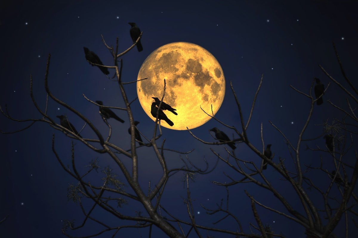 Full Moon March 2026 Worm Moon And Alternative Names