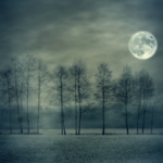 full moon at night with trees