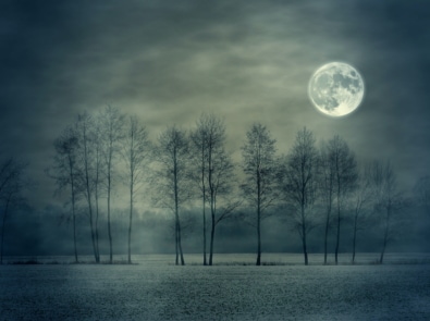 full moon at night with trees