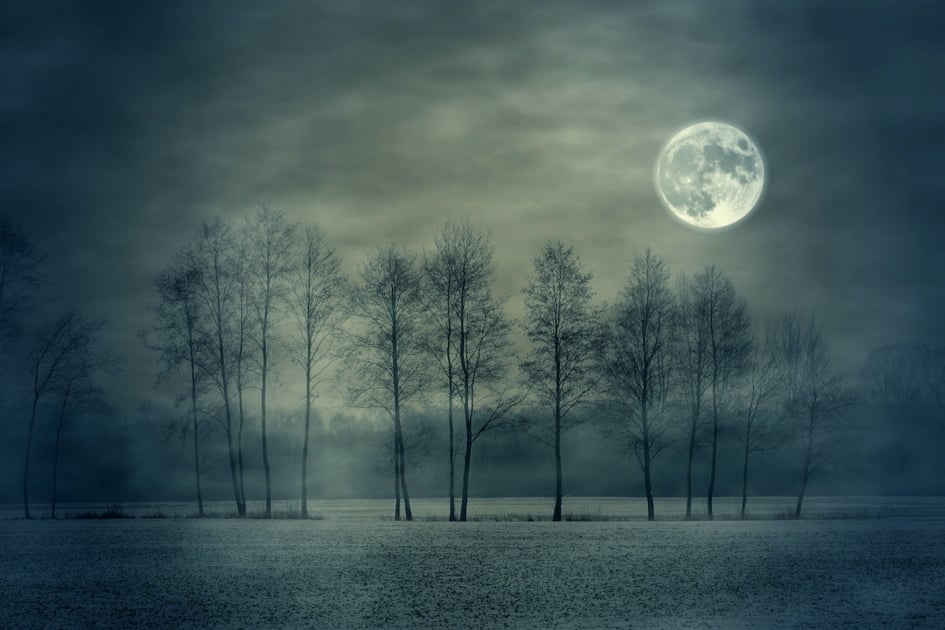 full moon at night with trees