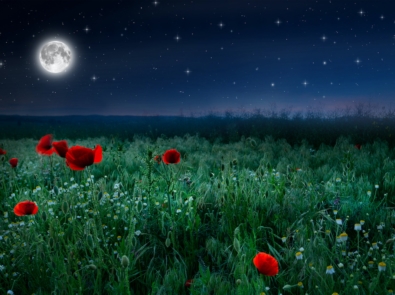 May’s Full Flower Moon featured image