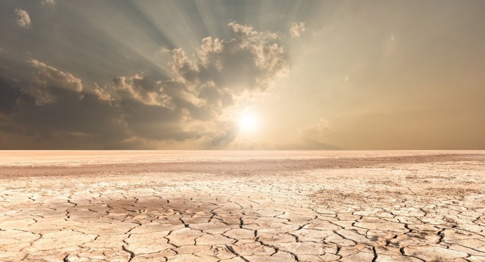 Soil drought cracked landscape sunset.