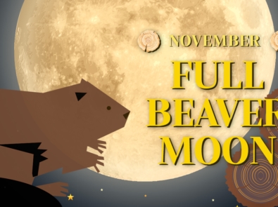 Why Is November’s Full Moon Called the Beaver Moon? featured image