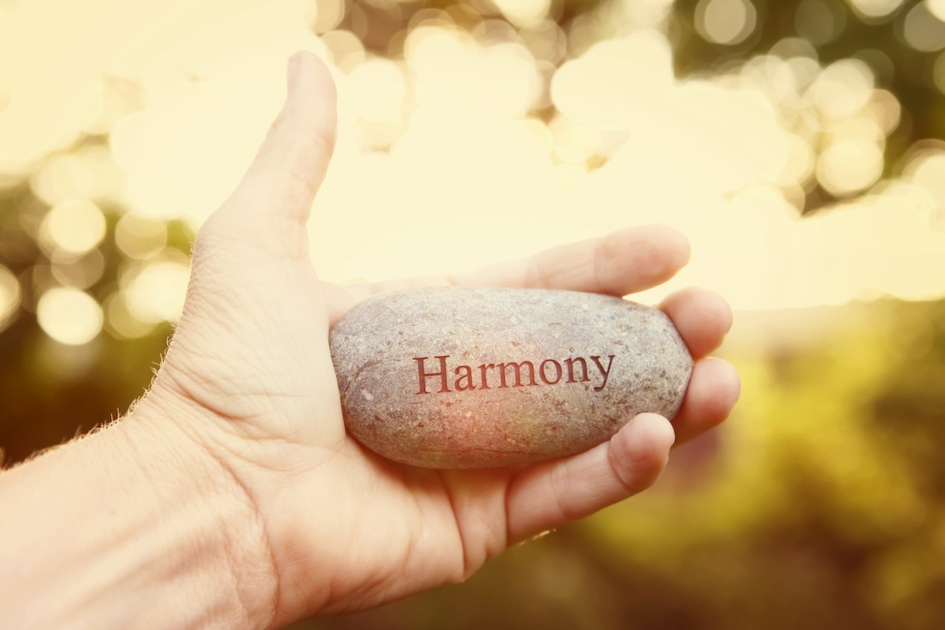 Hand holding a stone with the word Harmony.