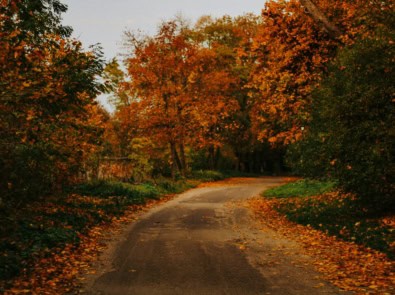 Fall Weather Safety Tips: Floods, Wet Leaves, Visibility, and Home Checks featured image