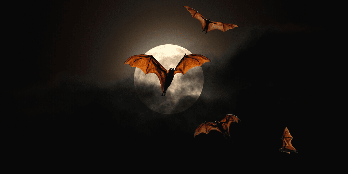 flying bats.