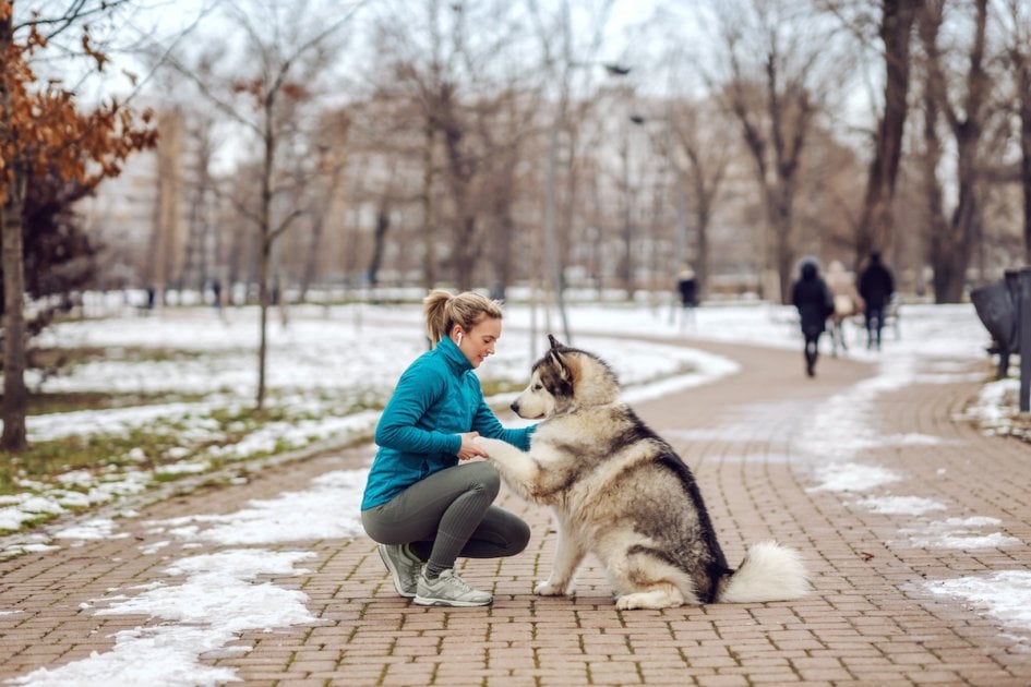 Sportswoman in a walk with her dog in a park on chilly weather.