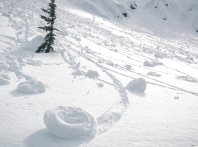 Snow - Snow roller