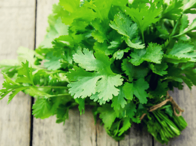 Love It Or Loathe It? The Great Cilantro Debate featured image