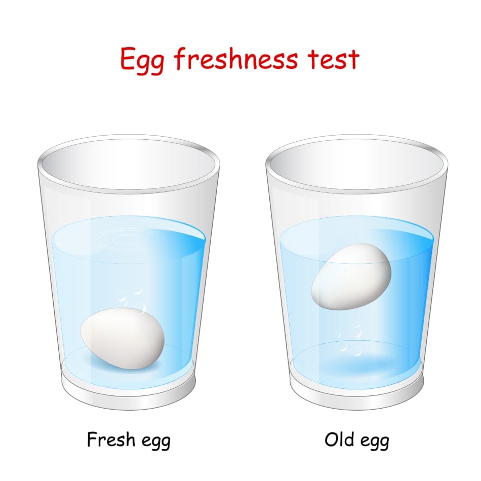 Egg freshness test. Two glasses of water and Eggs. The fresh egg will sink but the rotten one will float.