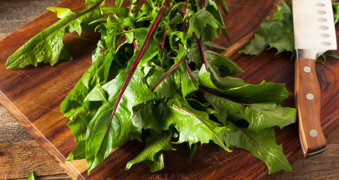 Dandelion salad - Leaf vegetable