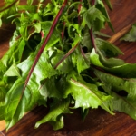 Dandelion salad - Leaf vegetable