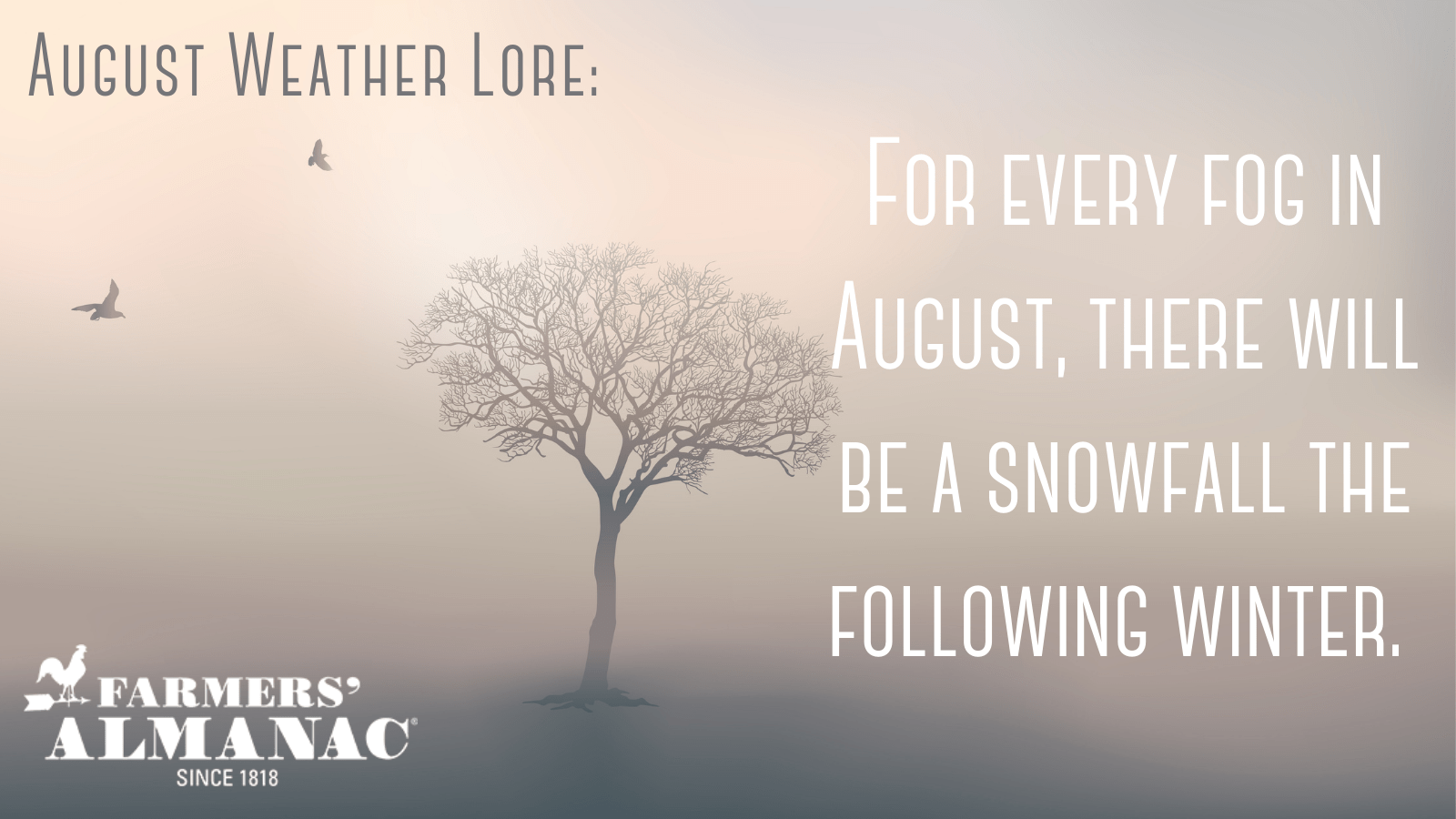 August Weather Lore: For every fog in August, there will be a snowfall the following winter.image preview
