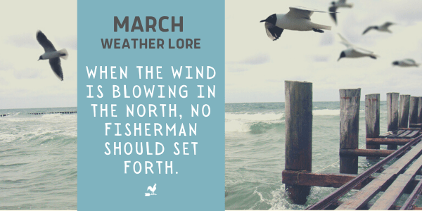 March Weather Lore: When the wind is blowing in the North, no fisherman should set forth.image preview