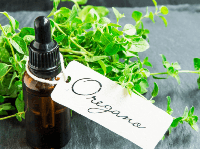 Oregano: The Pizza Herb For Your Health! featured image