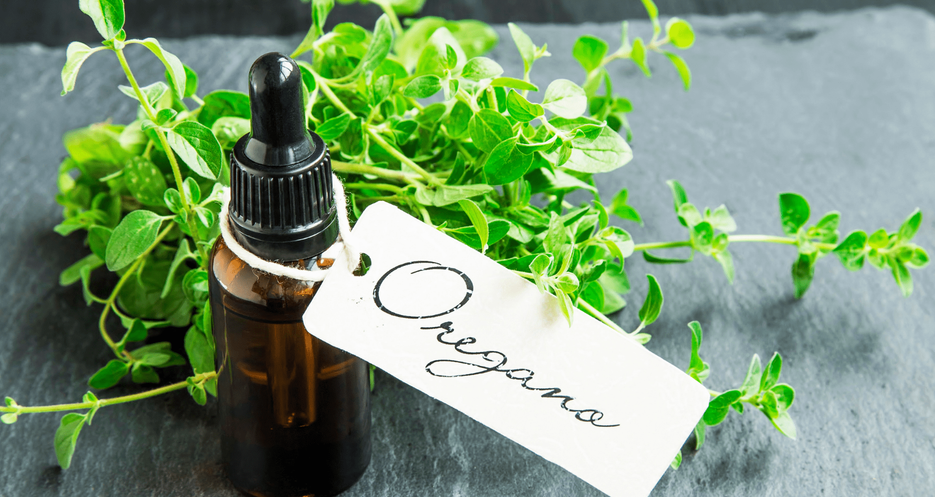 Oregano The Pizza Herb For Your Health! Farmers' Almanac Plan Your