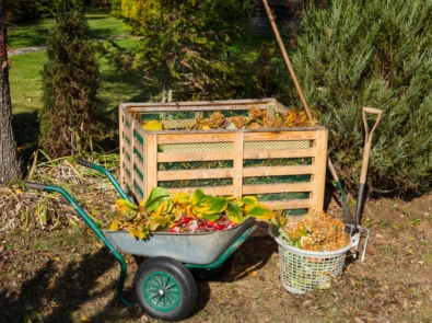 Natural Garden Fertilizers featured image